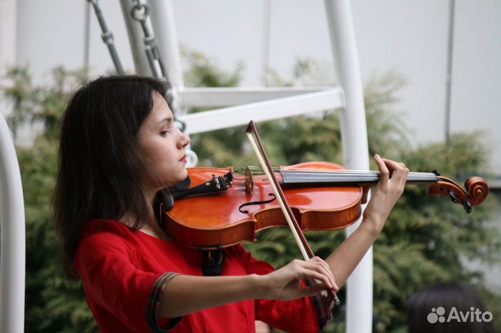 Репетитор по скрипке и сольфеджио очно и онлайн