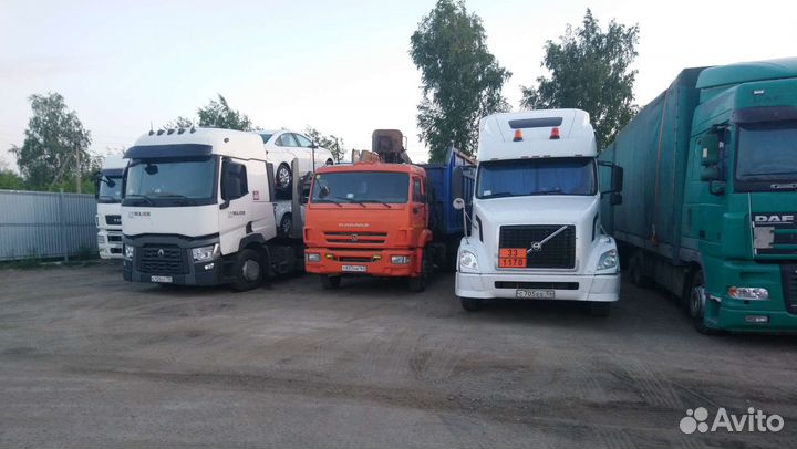 Трезвый водитель