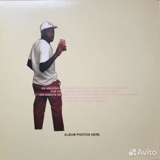 Tyler The Creator Flower Boy винил цветной