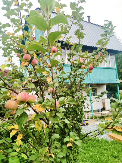 Дача 108 м² на участке 7,8 сот.