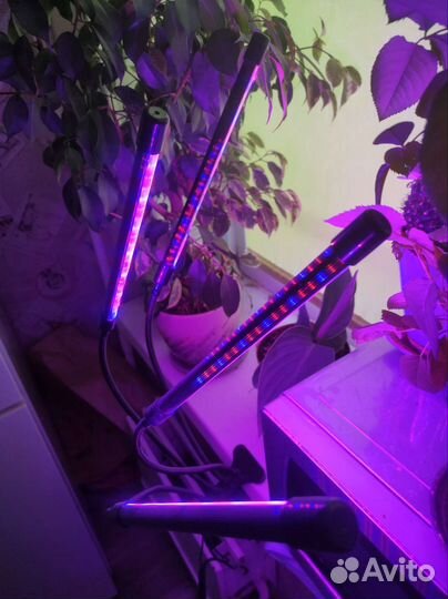 Фитолампа для растений полный спектр