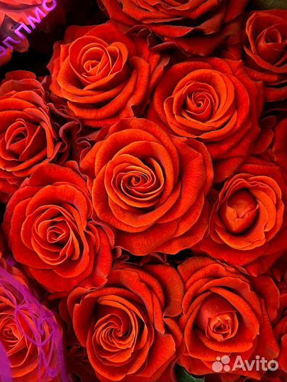 51 роза цветы букеты 101 25 21 15 розы