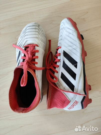 Сороконожки