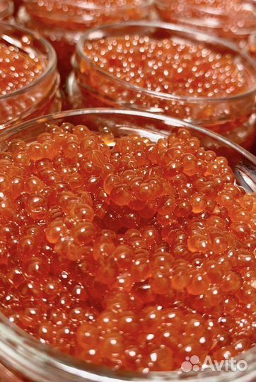 Красная икра 2023 июнь