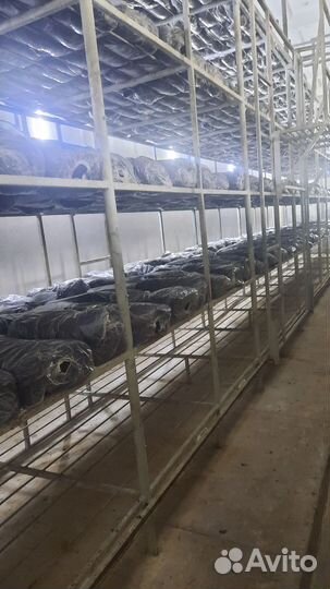 Супер-компост на ваших грядках