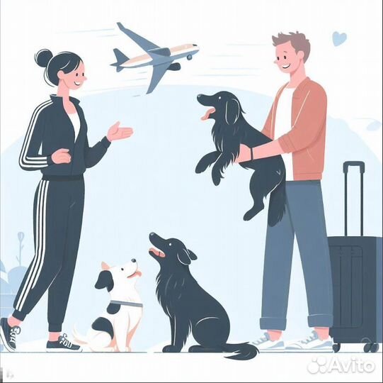 Выгул и передержка собак, Металлострой. Платно