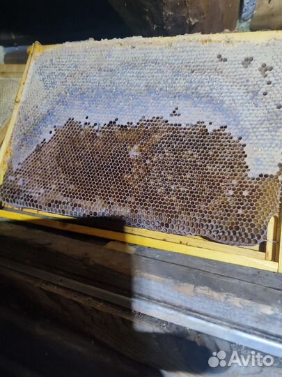 Медовые рамки,сушь