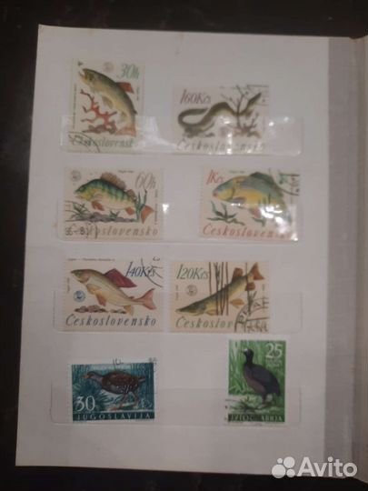 Коллеционная этикетка