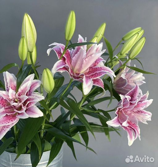 Букет из лилий