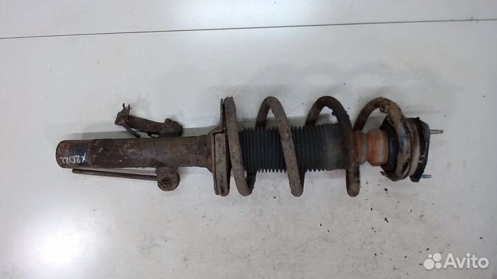 Амортизатор подвески Ford Transit, 2008