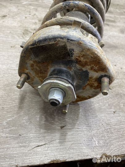 Амортизатор задний левый Haima 3