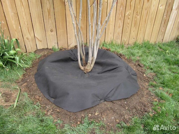 Агроспанбонд