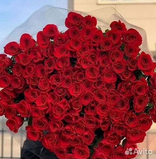 Розы Цветы Букеты 25 51 151 201 101 301 501 опт