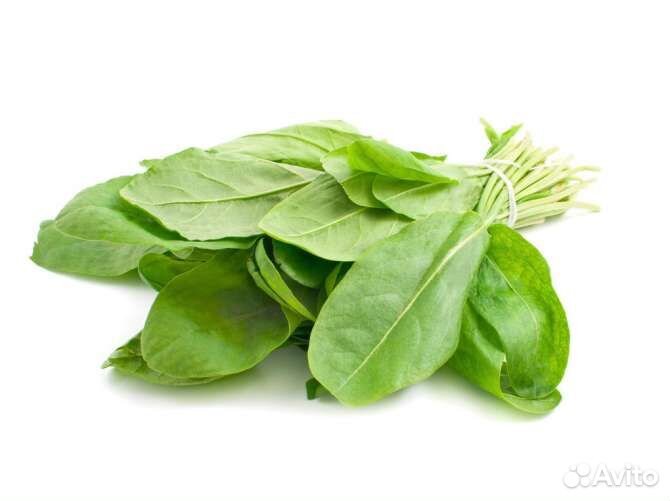 Помидоры,щавель,укроп,перец крупный болгарский