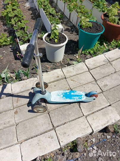 Самокат детский