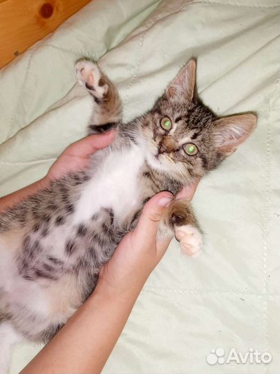 Почти сибирячка