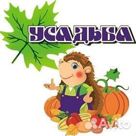 Помощник Менеджера