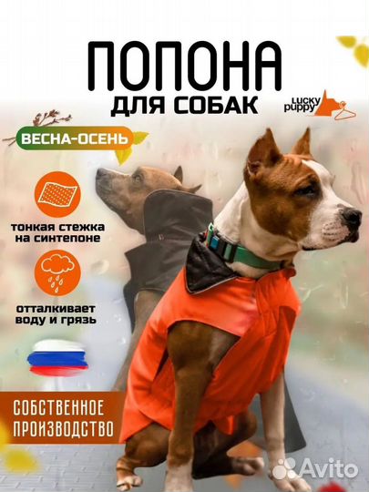 Костюм попона для собак