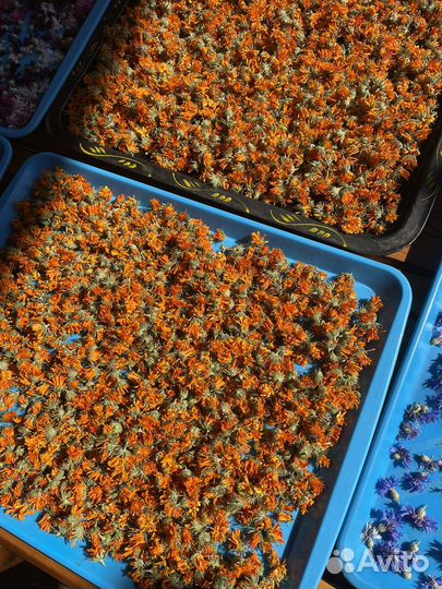 Ромашка сушёная, тысячелистник