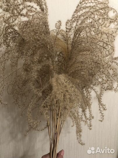 Интерьерный букет сухоцвет