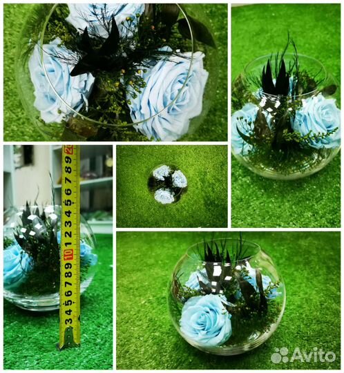 Трио из живых роз, пионов колбе, от