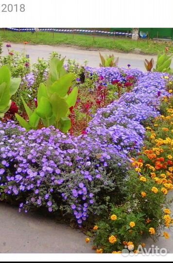 Сентябрики