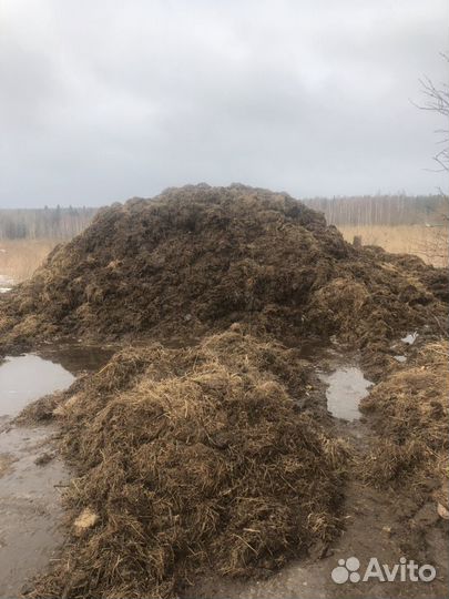 Продам навоз конский, коровий