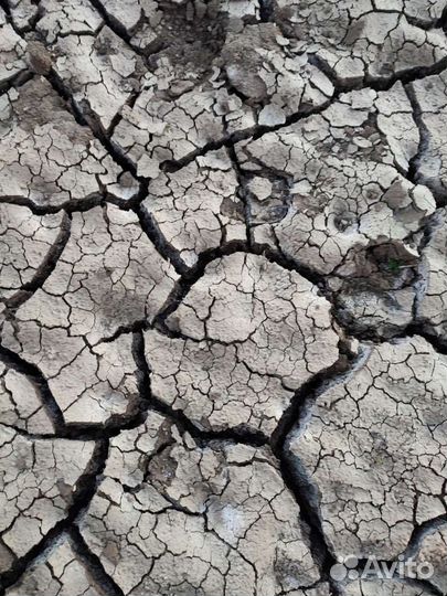 Сапропель удобрение земля перегной чернозём