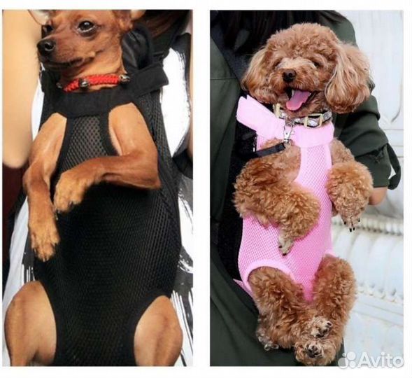 Переноска для кошек и собак