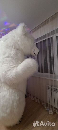 Белый мишка поздравление, организация праздников