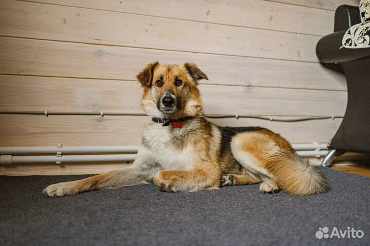 Леонид ищет семью