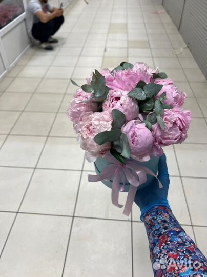 Пионы 15/21/51/101 Доставка пионов