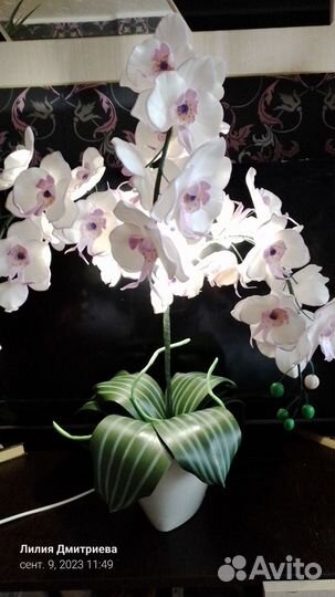 Цветы-светильники