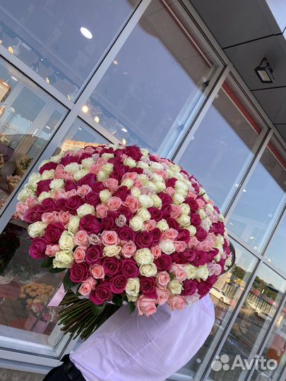 Розы 201 роза