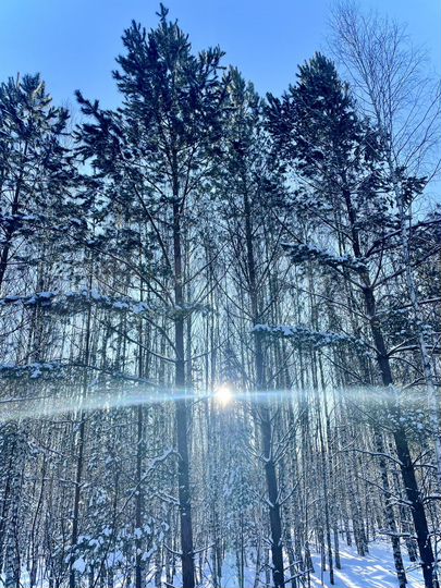 Дача 35 м² на участке 2 га