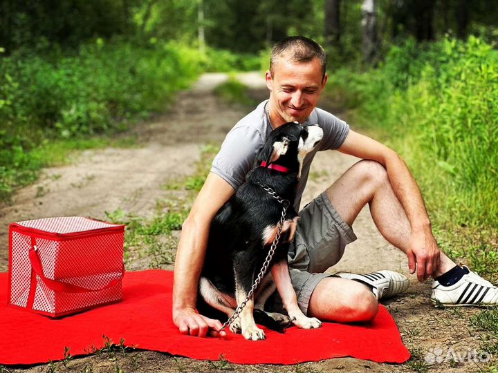 Щенок 4,5 месяца