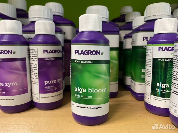 Удобрение Plagron Alga Bloom 100 мл