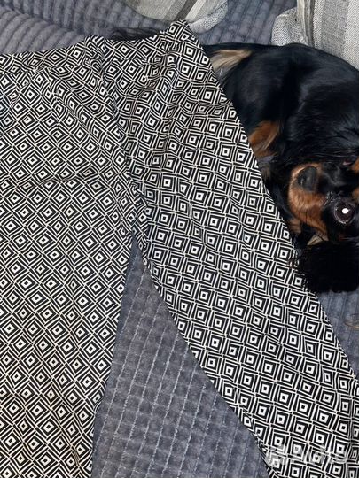 Брюки женские taifun