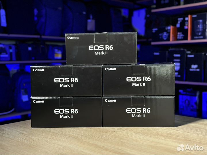 Canon EOS r6 mark ii body