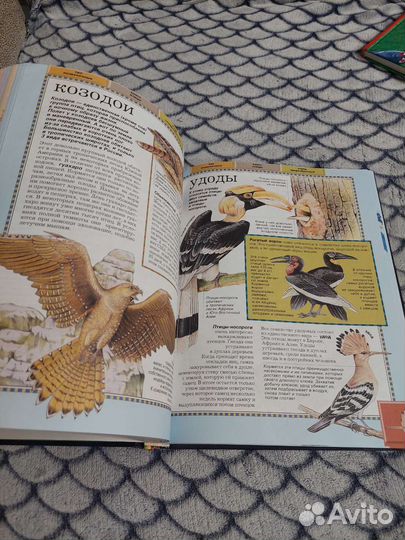 Большая энциклопедия животного мира