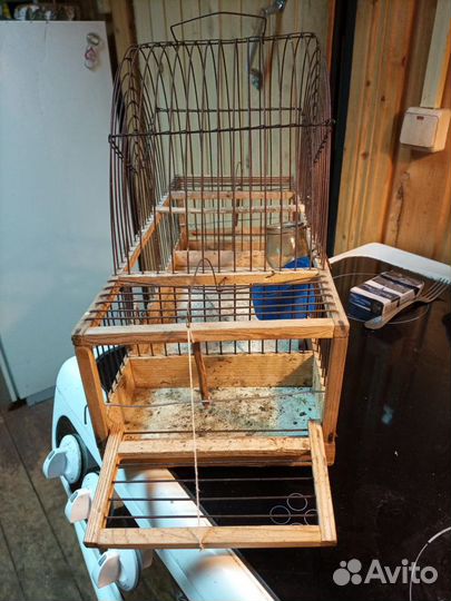 Клетка заподок