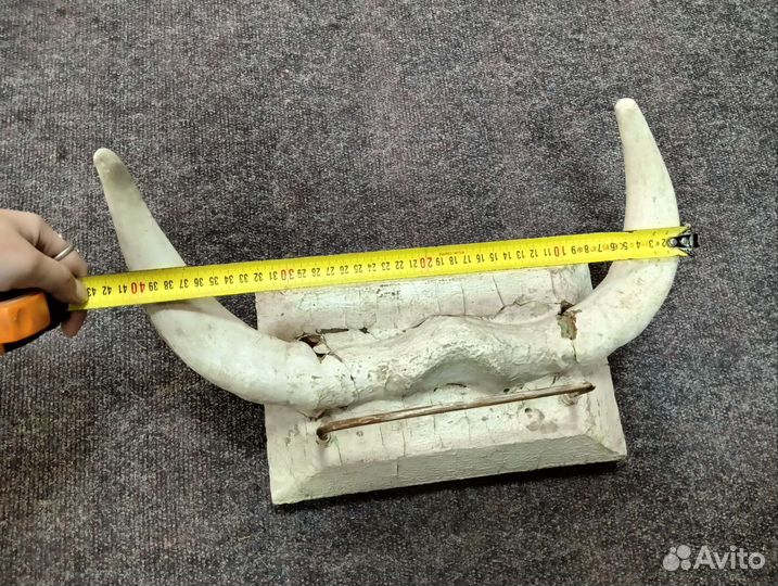 Настенная вешалка рога