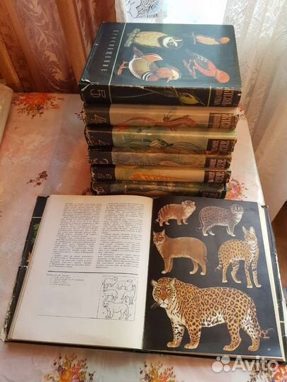 Жизнь растений, животных и словари