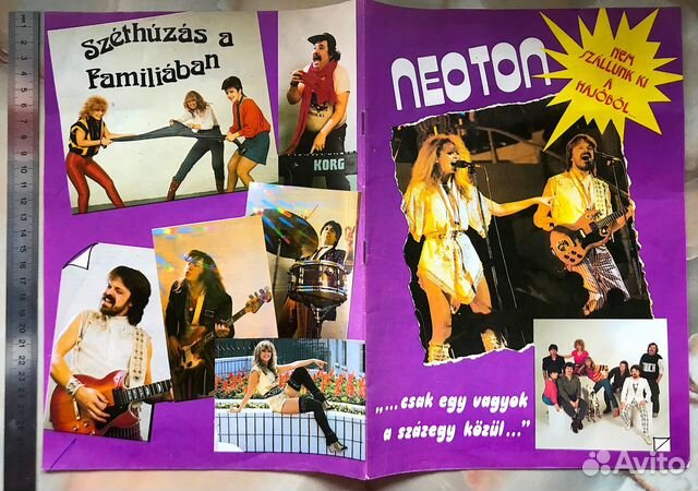 Neoton familia перевод