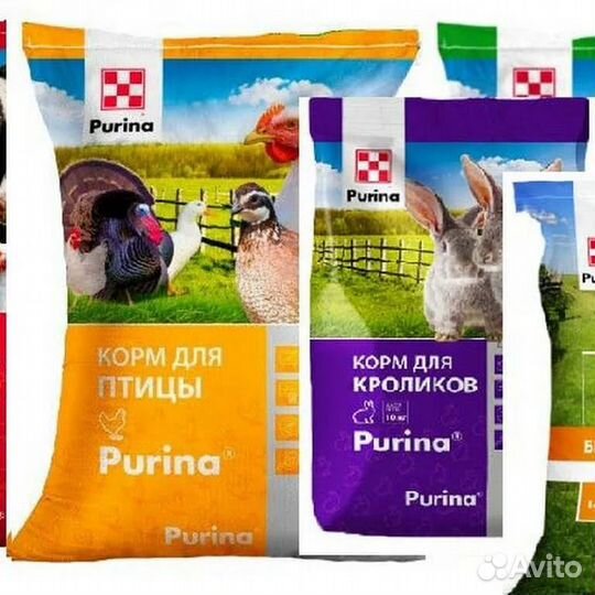 Комбикорм для кур и цыплят purina