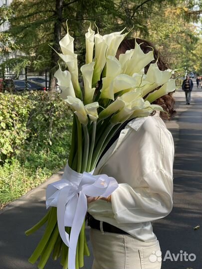 Каллы высокие