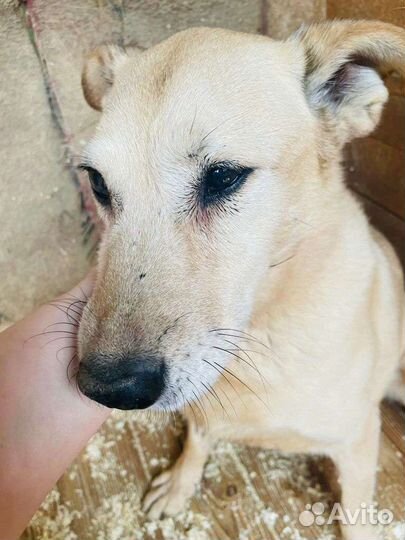 Соль в самые добрые руки