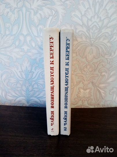 Н.Асанов, Ю.Стуритис 