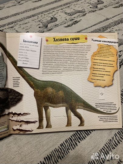 Книги динозавры.Короли мезозоя, Роберт Маш