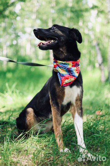 Гера ждёт своего Человека